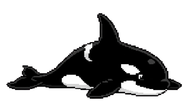 Orca